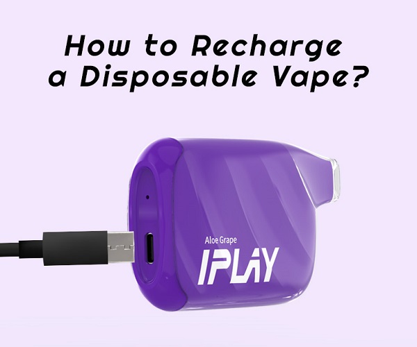 How to Recharge A Disposable Vape?