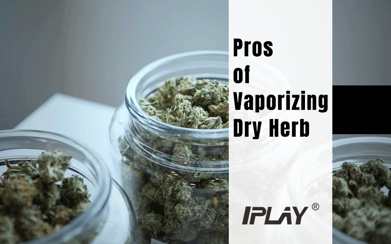 The Pros of Vaporizing Dry Herb